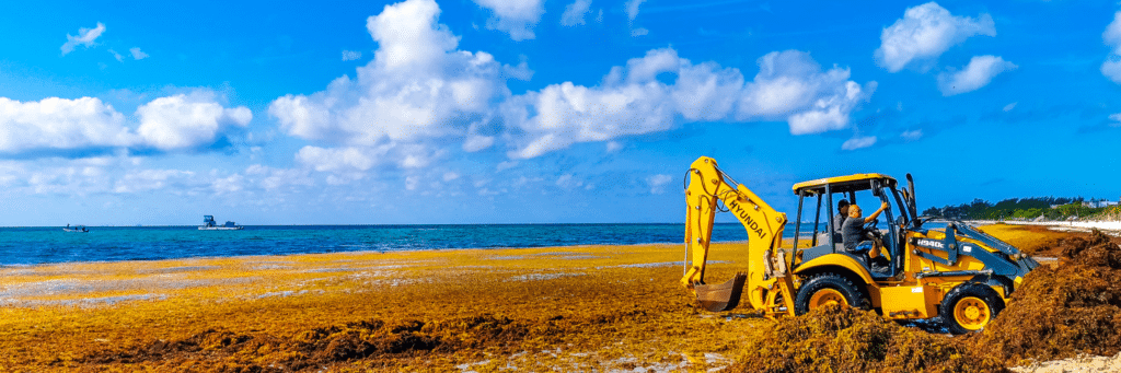 retroexcavadora imagen de retroexcavadora con obreros